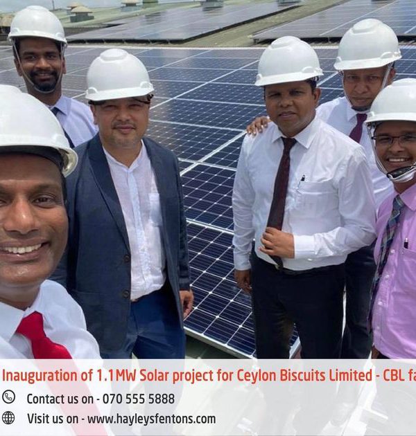 Hayleys Solar Specialists