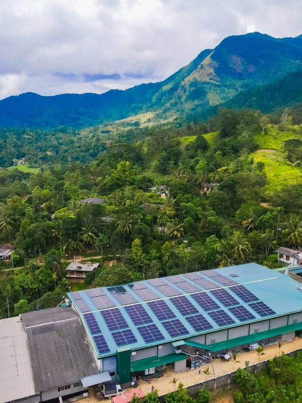 emjay penguin sportswear panwila rooftop solar installation by hayleys solar