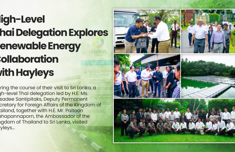 Thai Delegation and Member of Hayleys Fentons and Hayleys Solar