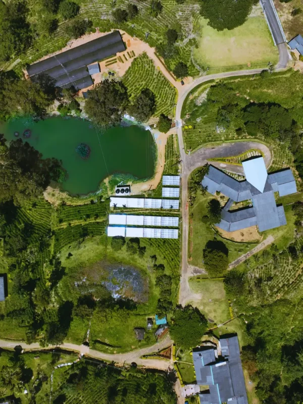 Aerial view of a solar installation surrounded by greenery and buildings