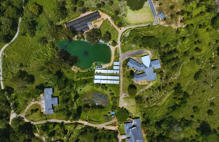 Aerial view of a solar installation surrounded by greenery and buildings